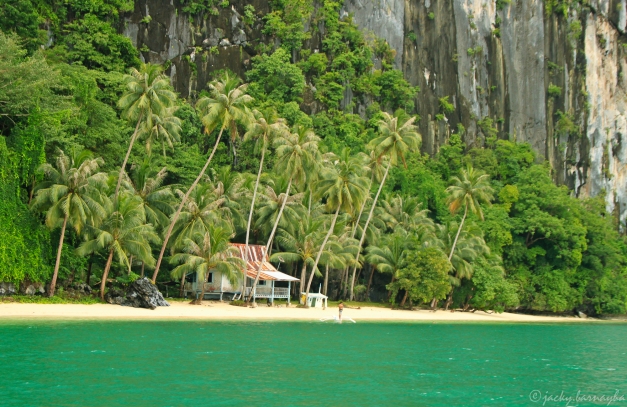 Pinagbuyutan Island  El Nido, Palawan