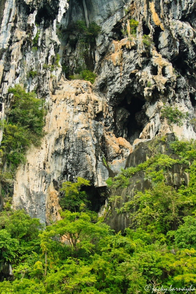 probably the caves where balinsasayaw nests are harvested